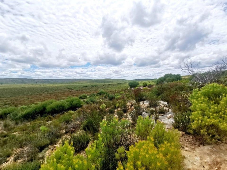 0 Bedroom Property for Sale in Riversdale Rural Western Cape